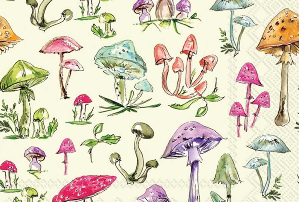 OEM IHR Ideal Home Range Cocktail Napkins Rosanne Beck Disposable 3-Ply Paper Party Napkin Pack, 5″ x 5″, Mushrooms, 20-Count Wholesale Manufacturer