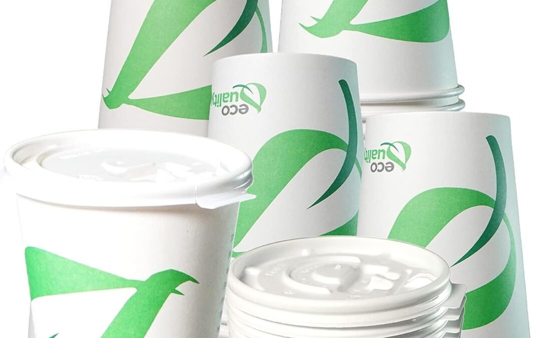 20 oz Compostable Paper Cups with White Flat Lids – Biodegradable Disposable White Paper Coffee Cups PLA Lined – Eco-friendly Hot and Cold Drinking Cups (25) Manufacturer & Supplier