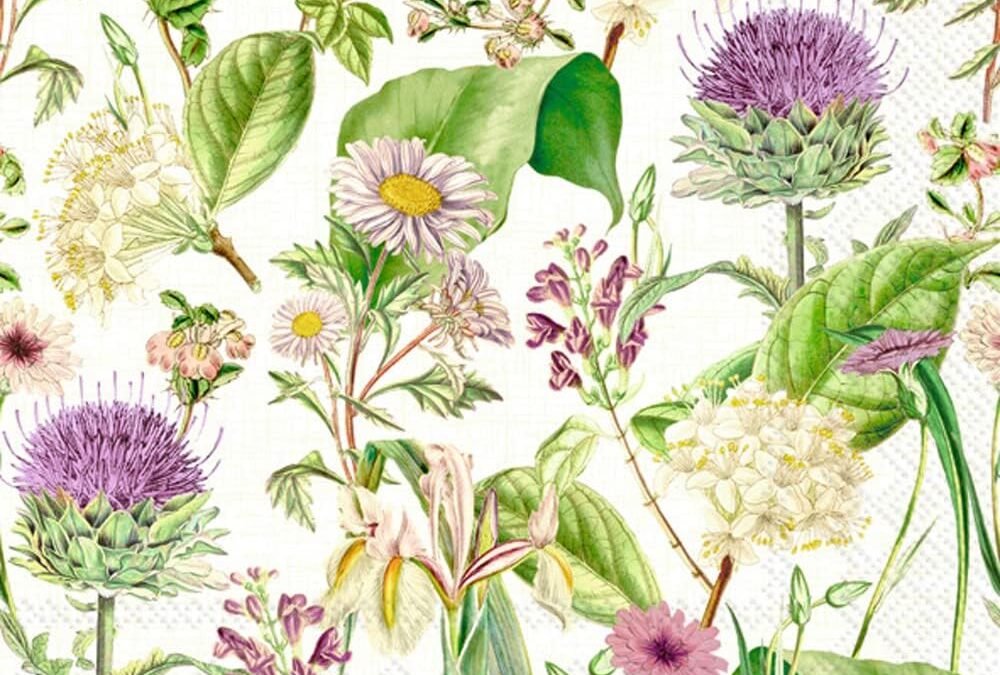 OEM IHR Ideal Home Range – Paper Napkins WILDFLOWER cream 20-Count 3-Ply Cocktail Napkins 5 x 5 inches Wholesale Manufacturer