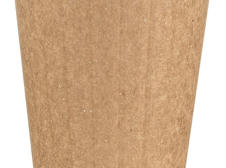Planet+ 100% Compostable PLA Laminated Double-Wall Insulated Hot Cup, 16-Ounce, 600-Count Case Manufacturer & Supplier